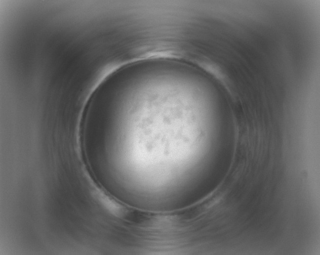 X0000062891423200601131323
