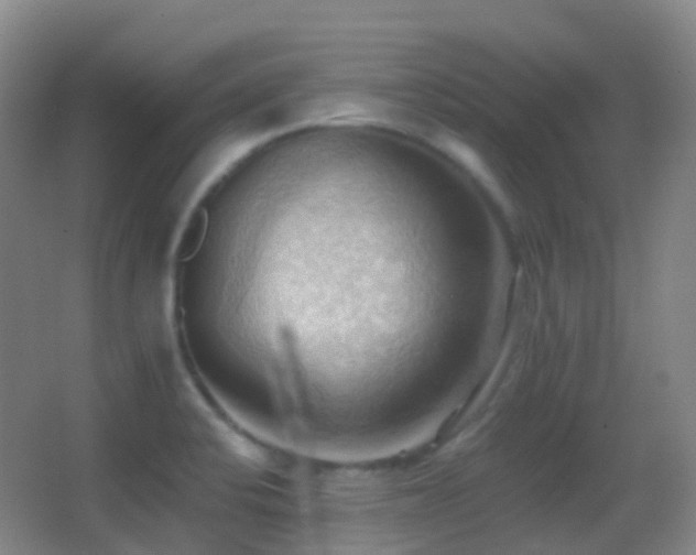 X0000062891424200601131323