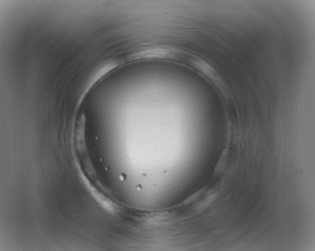 X0000062891426200601131323