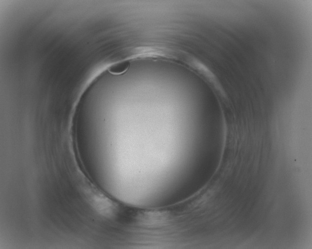 X0000062891427200601131323