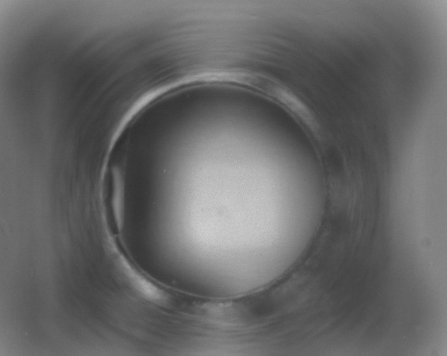X0000062891428200601131323