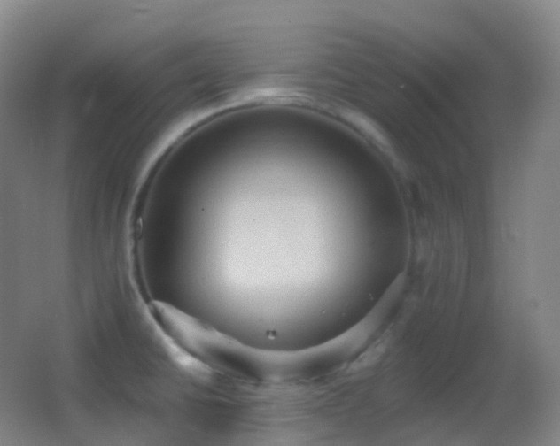 X0000062891430200601131323