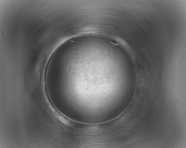 X0000062891431200601131323