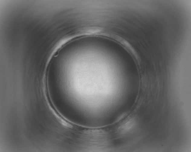 X0000062891432200601131323