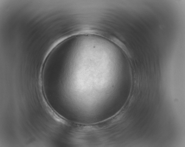 X0000062891436200601131323