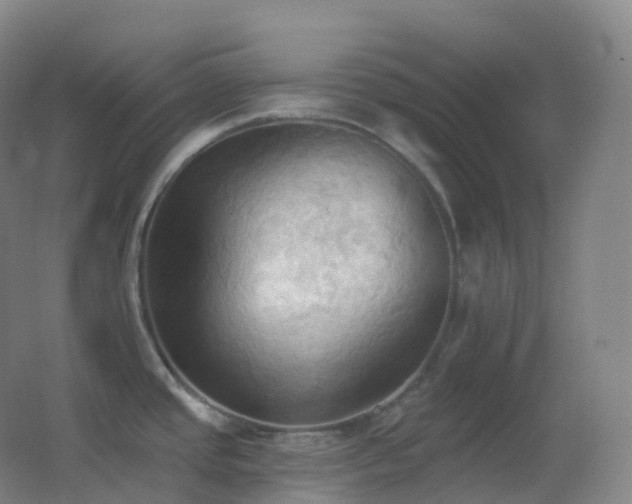 X0000062891437200601131323