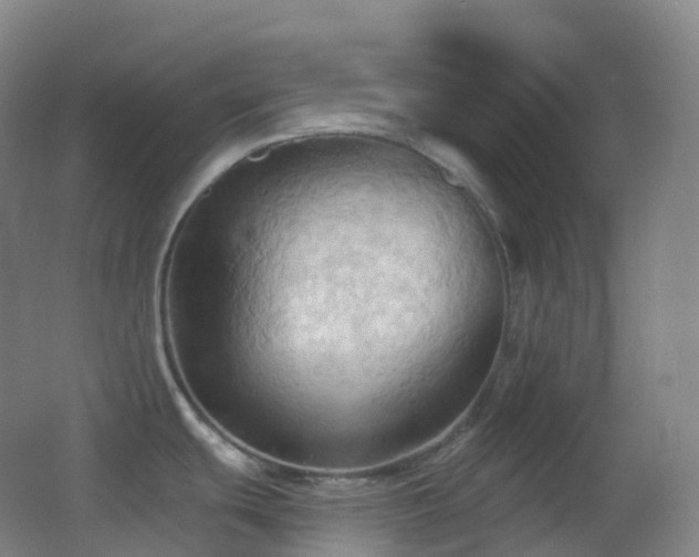 X0000062891439200601131323