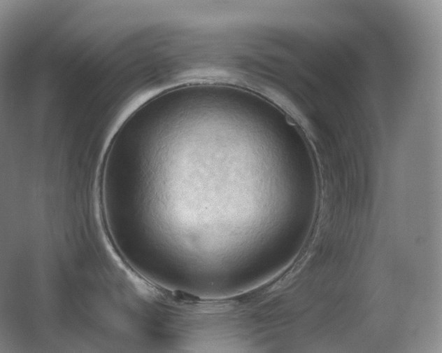 X0000062891440200601131323