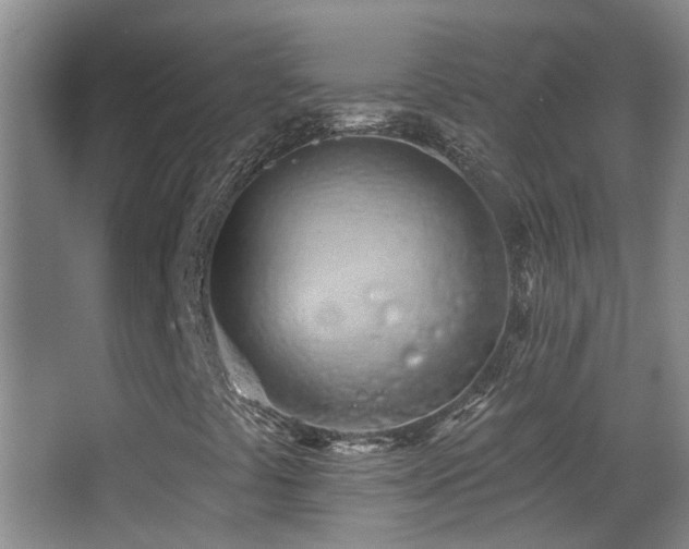 X0000062891441200601131322