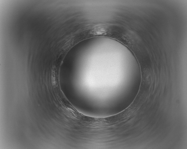 X0000062891442200601131322