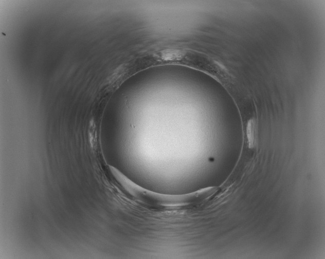 X0000062891443200601131322