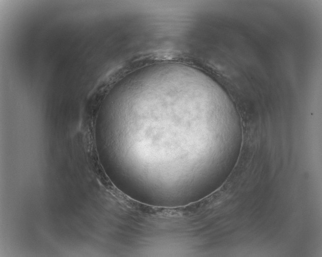 X0000062891446200601131322