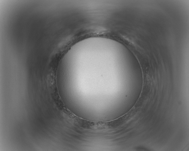 X0000062891447200601131322