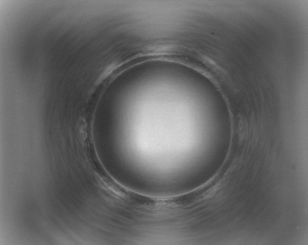 X0000062891449200601131322