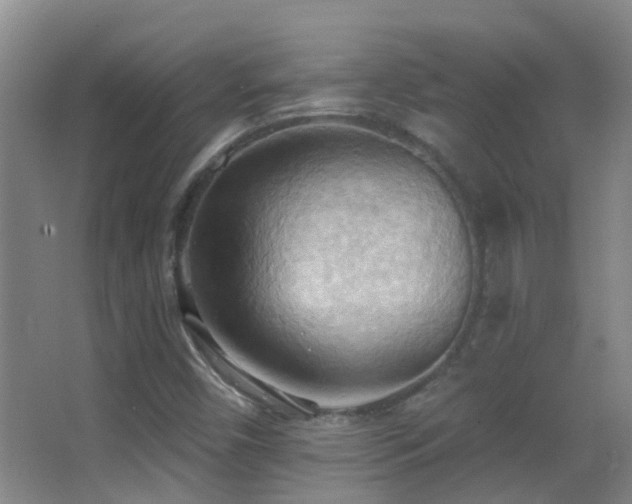 X0000062891450200601131322