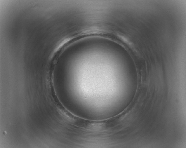 X0000062891453200601131322