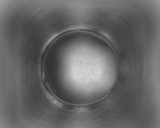 X0000062891460200601131322