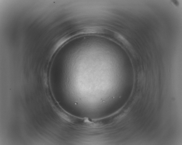 X0000062891465200601131322