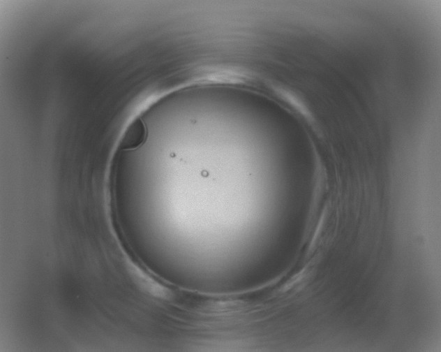 X0000062891471200601131322