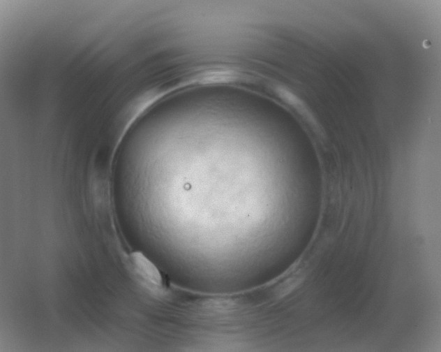 X0000062891473200601131322