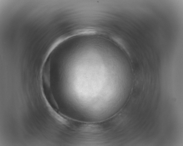X0000062891475200601131322