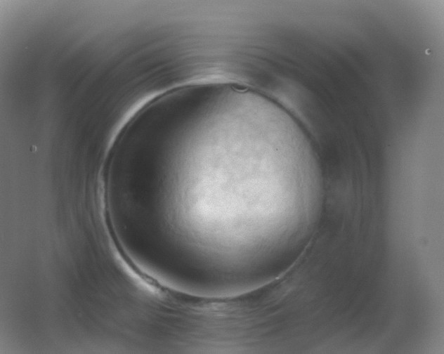 X0000062891476200601131322