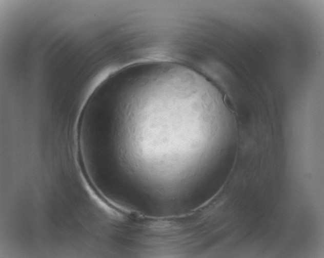 X0000062891479200601131321