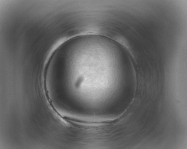 X0000062891480200601131321