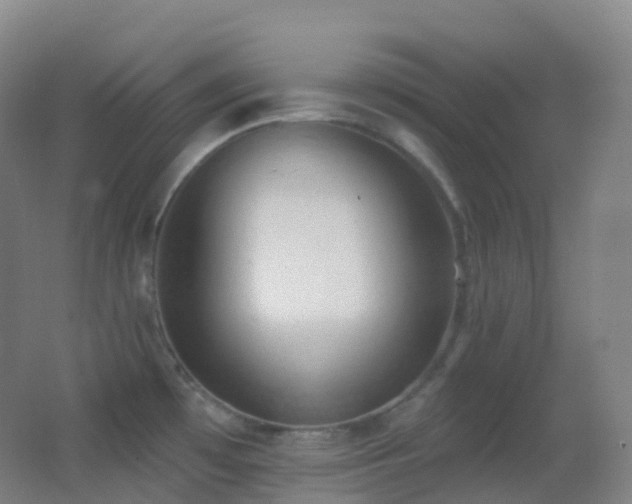 X0000062891481200601131321