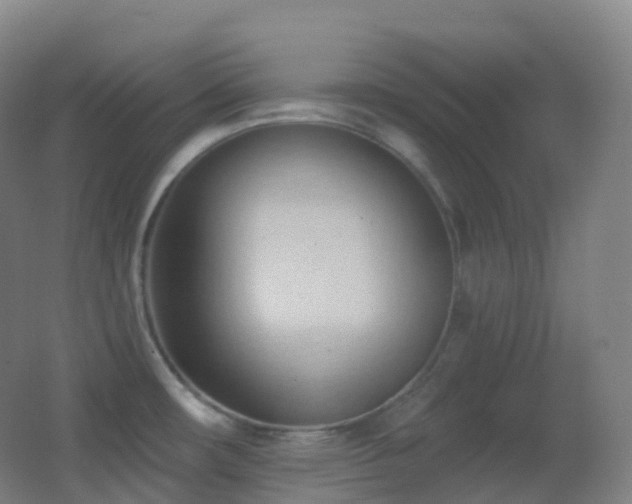 X0000062891482200601131321