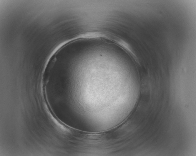 X0000062891484200601131321