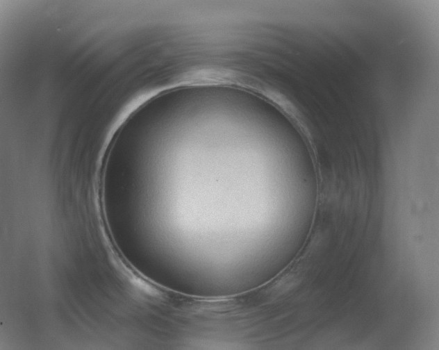 X0000062891486200601131321