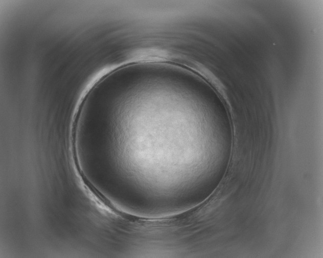 X0000062891488200601131321