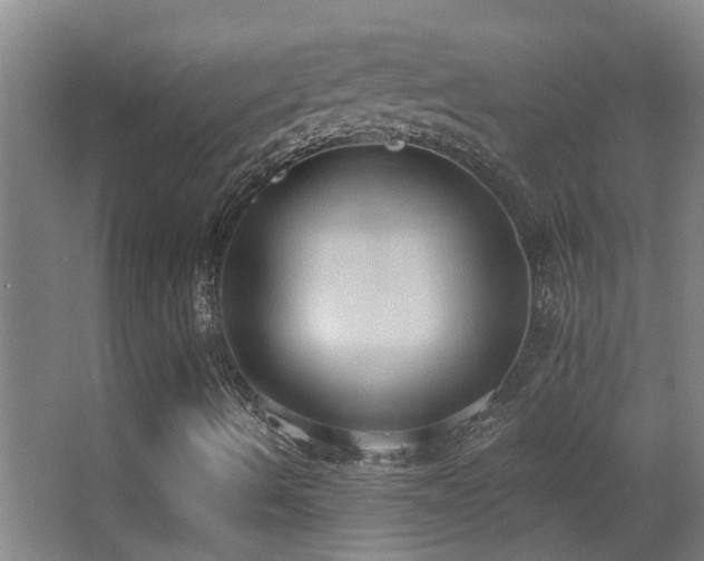 X0000062891490200601131321