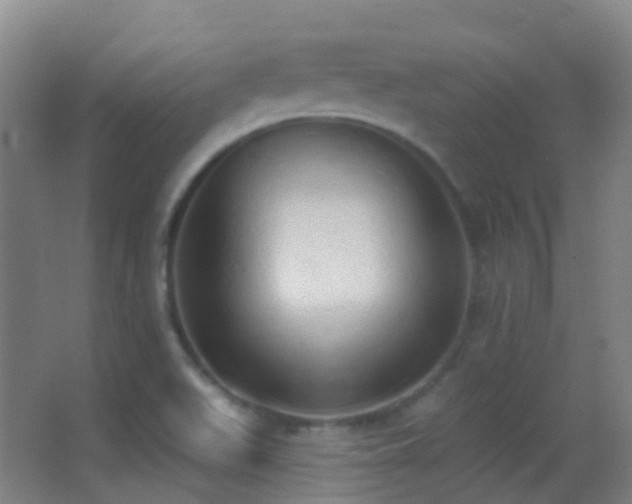 X0000062891511200601131321