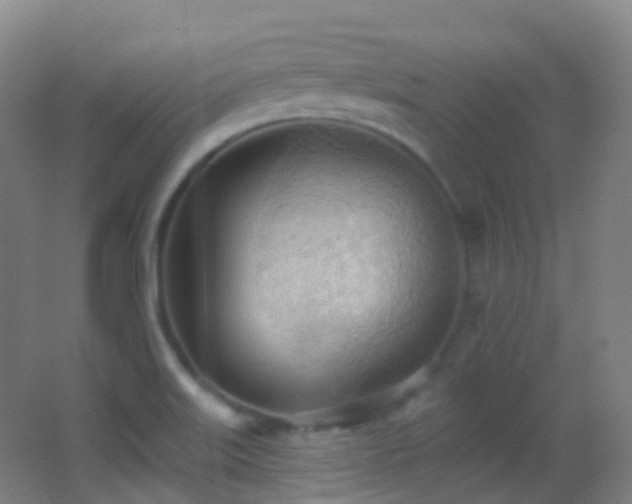 X0000062891515200601131321
