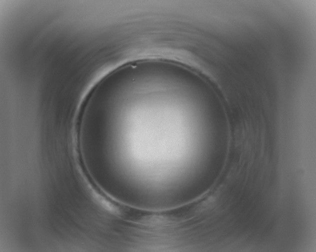 X0000062891517200601131321