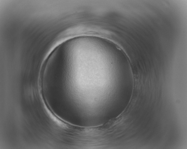 X0000062891531200601131321