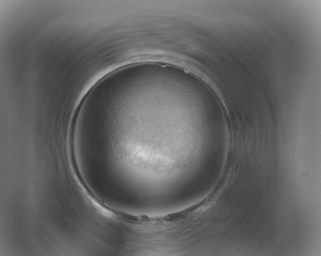 X0000062891533200601131321