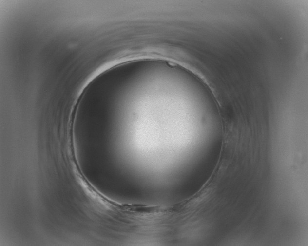 X0000062891534200601131321