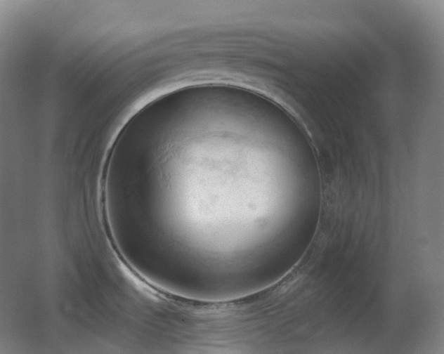 X0000062891535200601131321