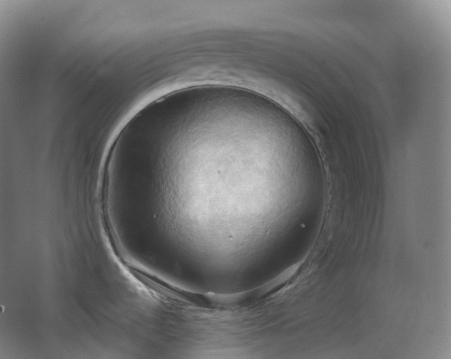 X0000062891536200601131321