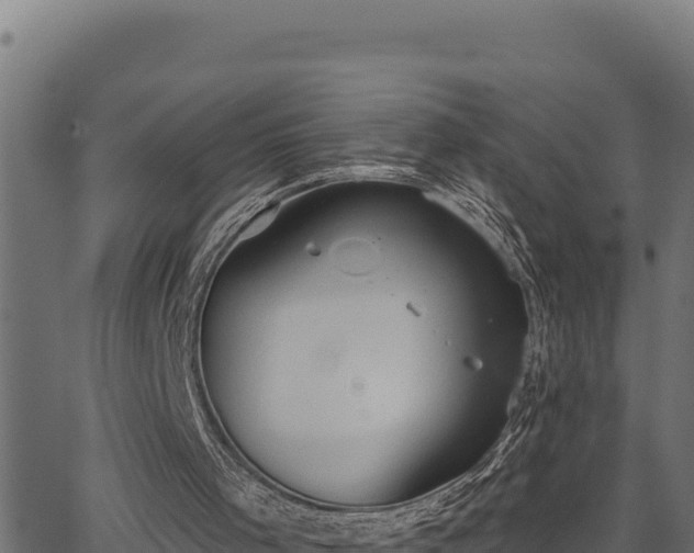 X0000062890001200601171526