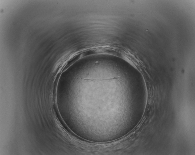 X0000062890002200601171525