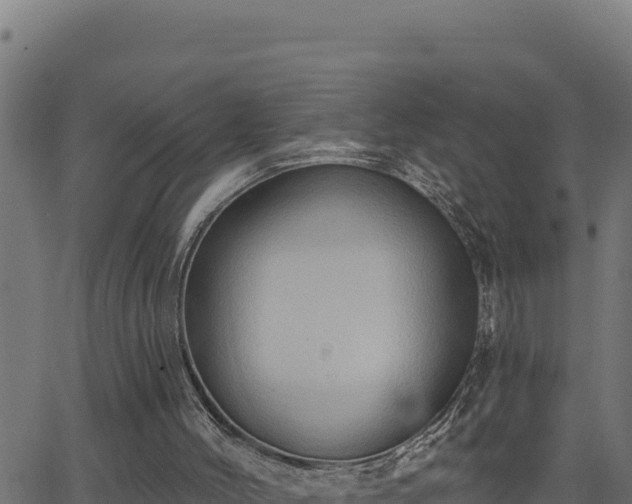 X0000062890004200601171525