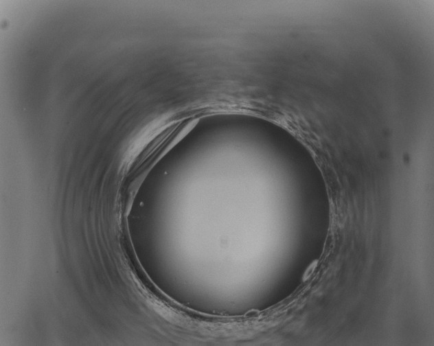 X0000062890005200601171525