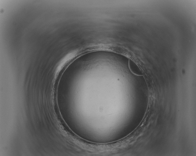 X0000062890006200601171525