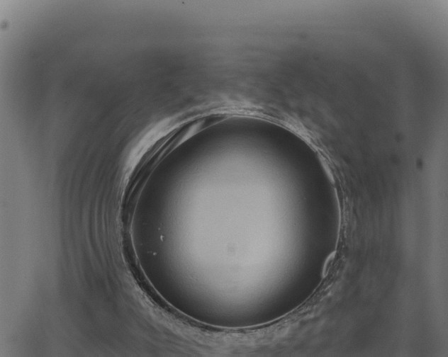 X0000062890007200601171525