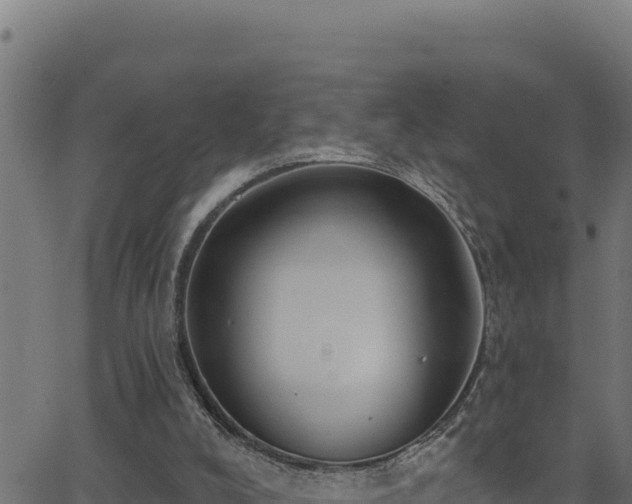 X0000062890008200601171525