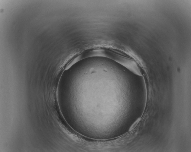 X0000062890009200601171525